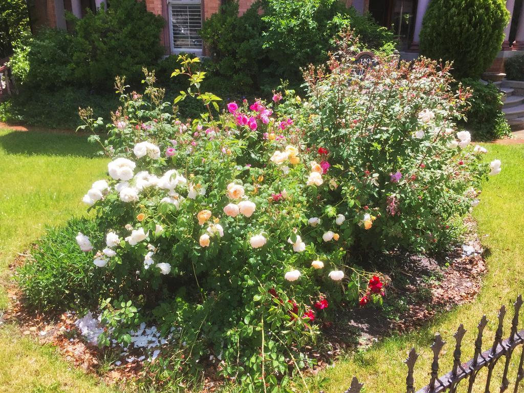 Historic Ellerbeck Mansion Bed & Breakfast 솔트레이크시티 외부 사진